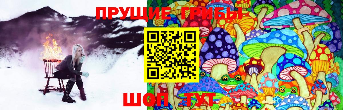 Галлюциногенные грибы Psilocybine cubensis  Вход с VPN  Псилоцибиновые грибы Cubensis  Великий Новгород 