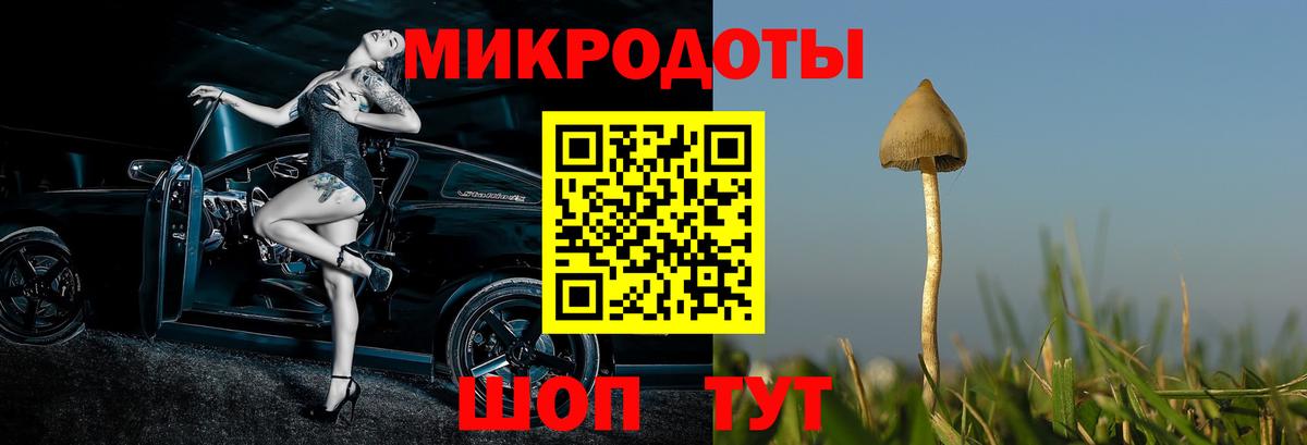 Псилоцибиновые грибы мицелий Великий Новгород
